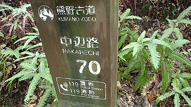 p8245963_thumb.jpg
