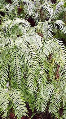 p8245967_thumb.jpg