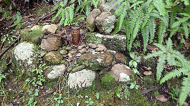 p8245968_thumb.jpg