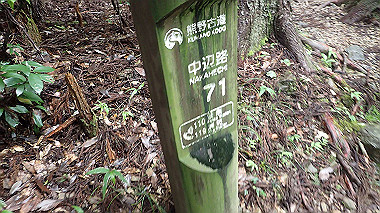 p8245969_thumb.jpg