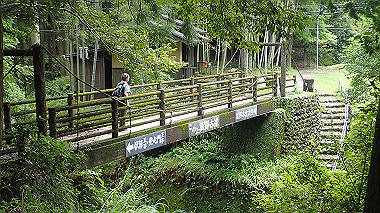 p8245971_thumb.jpg