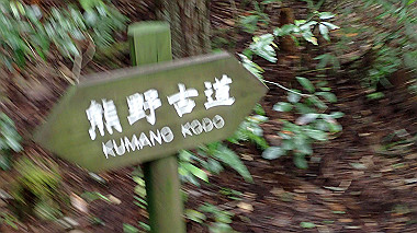 p8245972_thumb.jpg