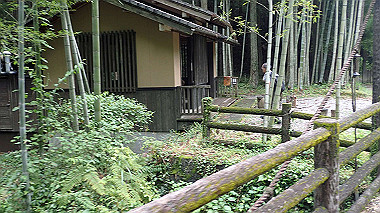 p8245976_thumb.jpg