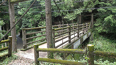 p8245981_thumb.jpg