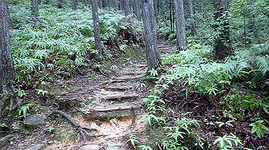 p8245982_thumb.jpg