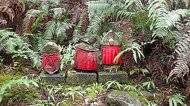 p8245985_thumb.jpg