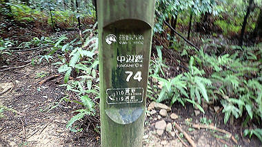 p8245988_thumb.jpg