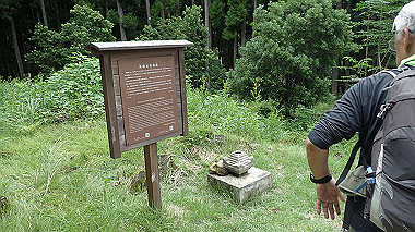 p8245989_thumb.jpg