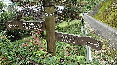 p8245993_thumb.jpg