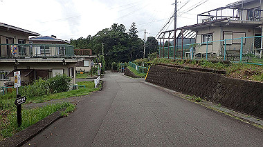 p8245998_thumb.jpg