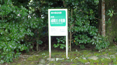 p8246002_thumb.jpg