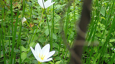 p8246004_thumb.jpg