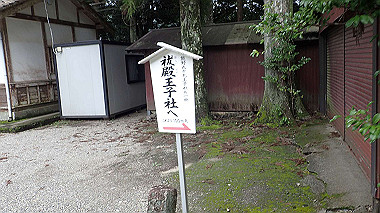 p8246011_thumb.jpg