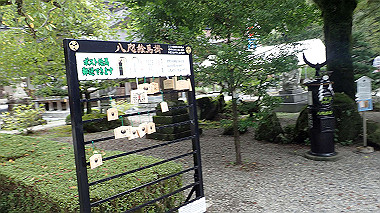 p8246012_thumb.jpg