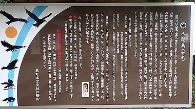 p8246022_thumb.jpg