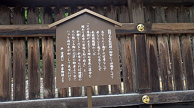 p8246028_thumb.jpg