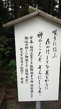 p8246034_thumb.jpg