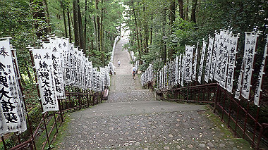 p8246042_thumb.jpg