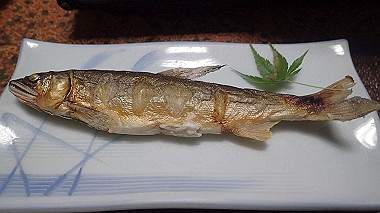 p8246047_thumb.jpg