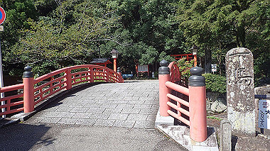 p8256061_thumb.jpg