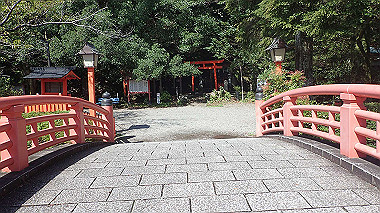 p8256062_thumb.jpg