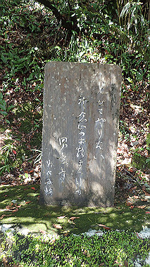 p8256065_thumb.jpg