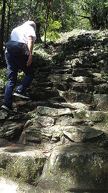 p8256071_thumb.jpg