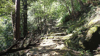 p8256077_thumb.jpg