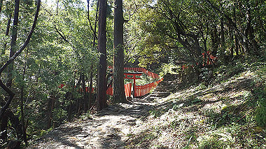 p8256078_thumb.jpg