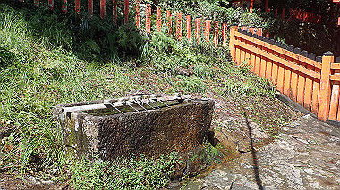 p8256083_thumb.jpg