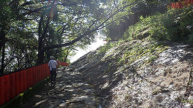 p8256084_thumb.jpg