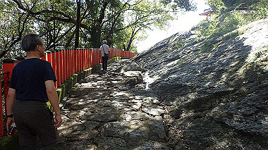 p8256085_thumb.jpg