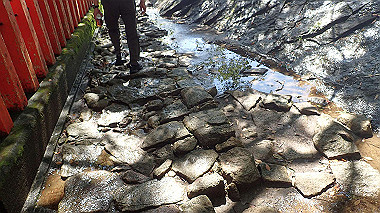 p8256086_thumb.jpg