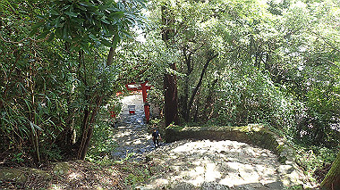 p8256116_thumb.jpg