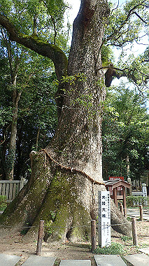 p9236171_thumb.jpg