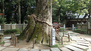 p9236173_thumb.jpg