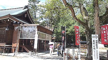 p9236175_x264.mp4_snapshot_00.04_thumb.jpg