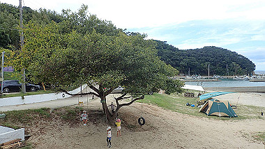 p9236197_thumb.jpg