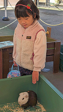20231223_021736012_thumb.jpg
