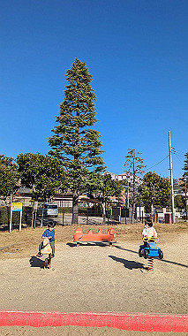 pxl_20231210_021210893_thumb.jpg