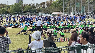 2023-10-12_10-52-19_000_x264.mp4_snapshot_00.06_thumb.jpg
