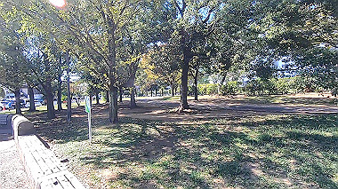 gx019027_x264.mp4_snapshot_00.06_thumb.jpg