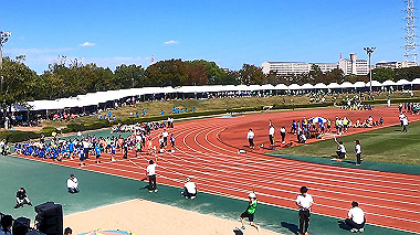 gx019032_x264.mp4_snapshot_00.01_thumb.jpg