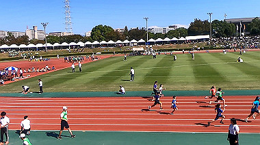 gx019033_x264.mp4_snapshot_00.09_thumb.jpg