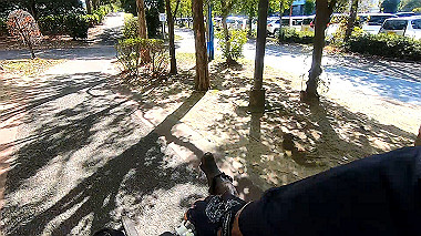 gx019036_x264.mp4_snapshot_00.25_thumb.jpg