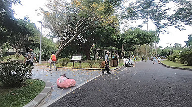 gx019041.mp4_snapshot_01.59_thumb.jpg