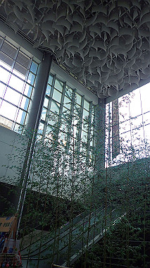 pa190081_thumb.jpg