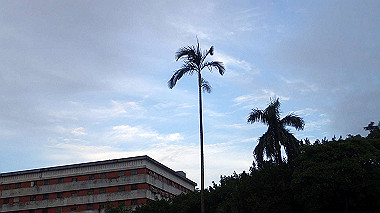 pa190097_thumb.jpg