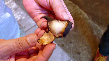 pa190169_thumb.jpg