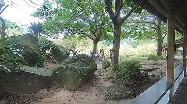 gx019071.mp4_snapshot_00.06_thumb.jpg